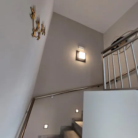 Averto فيلة سامي